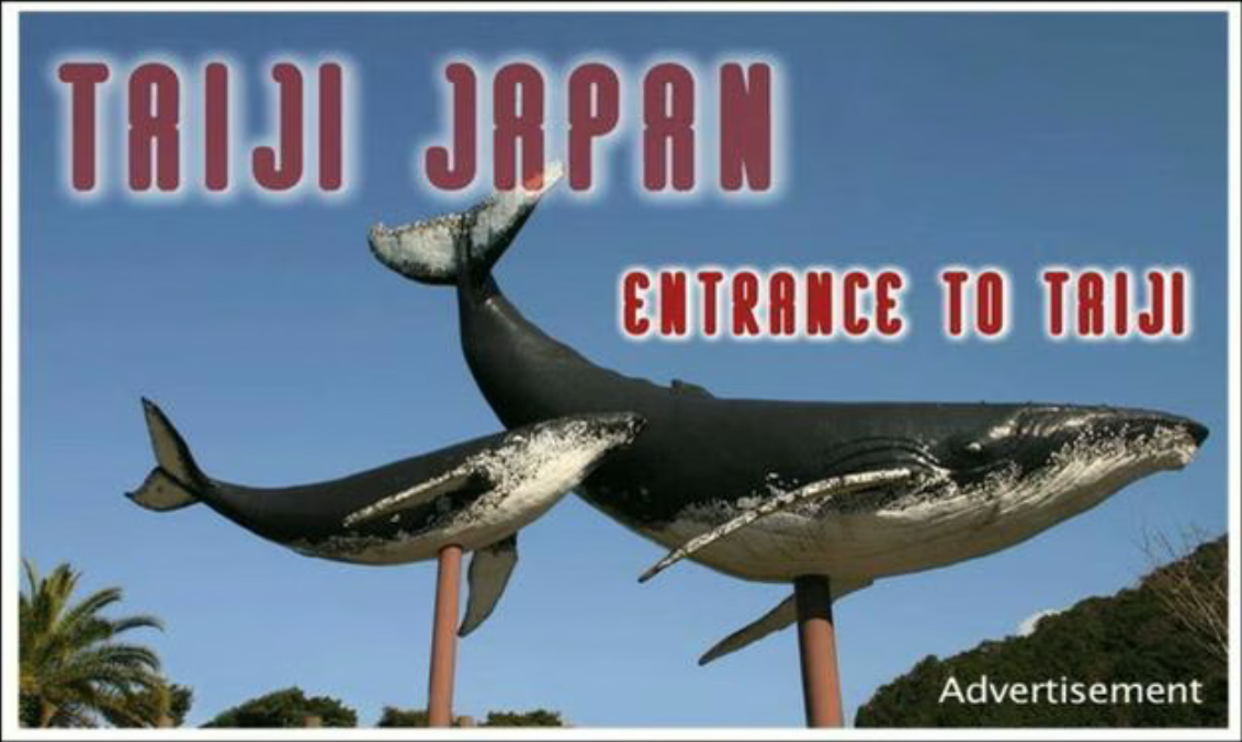 Taiji Japan — Entrance to Taiji — advertisement graphic
